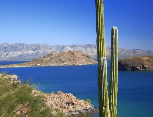 Mexico landscape conservation