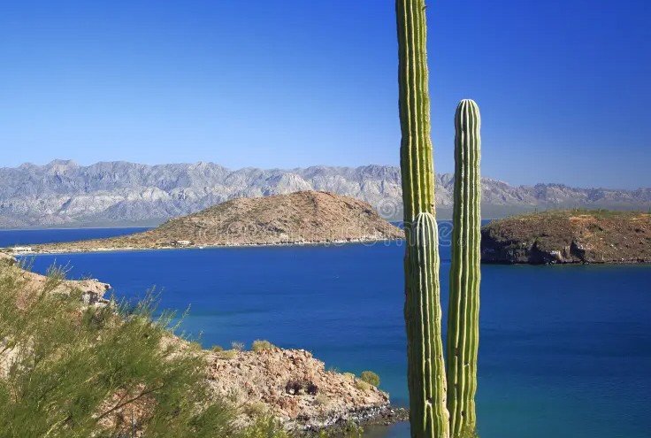 Mexico landscape conservation