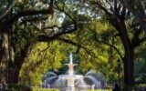 historic savannah land