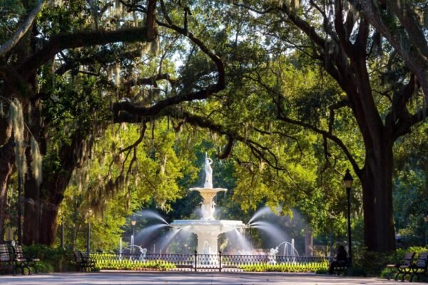 historic savannah land