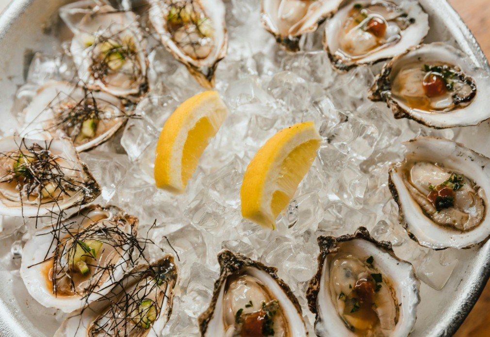 raw oysters outbreak