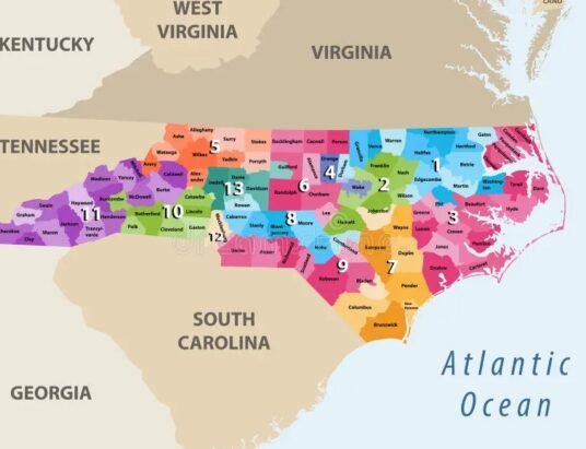 Georgia 14th congressional district map