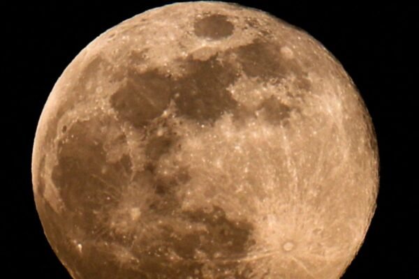 Wolf Supermoon January 2026 night sky