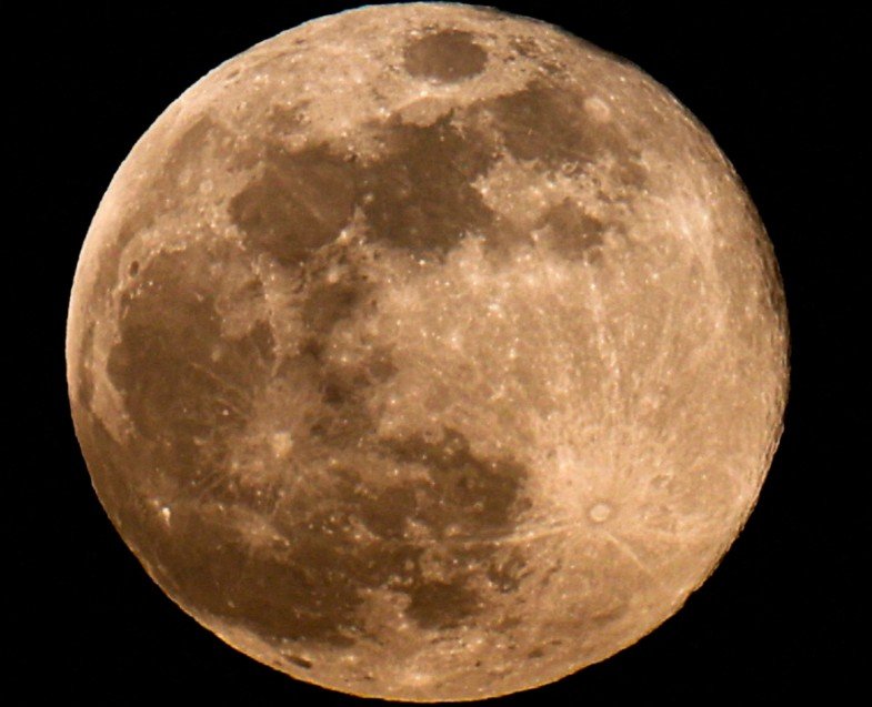 Wolf Supermoon January 2026 night sky