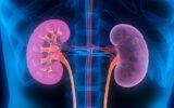 down syndrome kidney study
