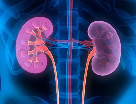 down syndrome kidney study