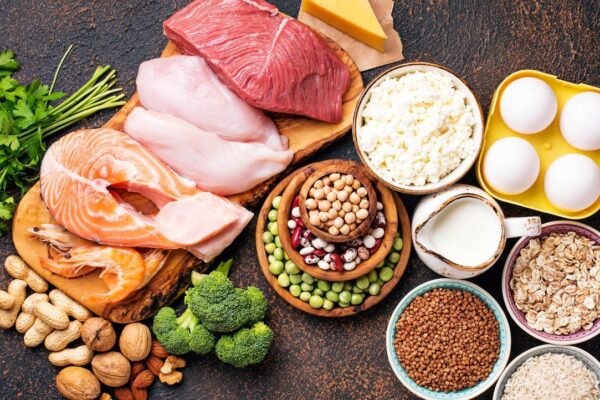 full fat dairy protein healthy fats nutrition