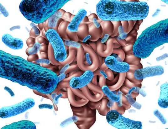 gut bacteria illustration