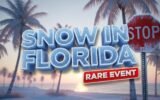 snow covered palm trees florida panhandle winter weather