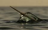 water contamination