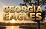 georgia-bald-eagles-nesting-near-development