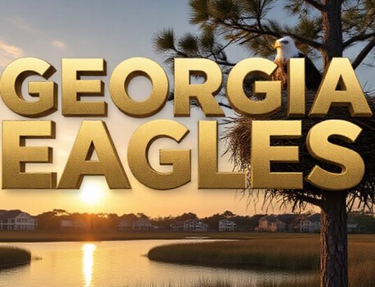 georgia-bald-eagles-nesting-near-development