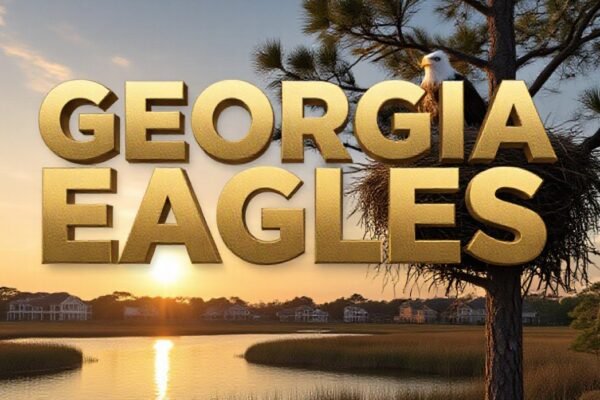georgia-bald-eagles-nesting-near-development