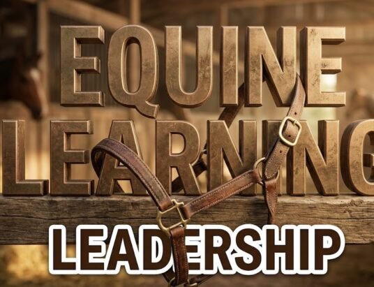 university teachers grooming horse during therapeutic leadership retreat