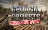 georgia forestry mill closure crisis timber economy