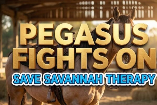savannah pegasus riding academy therapeutic horses children support