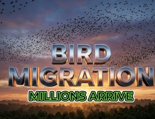 spring migratory birds arrival Georgia April species