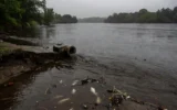 Chattahoochee fish kill linked to Atlanta flooding and sewage overflows.