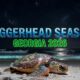 Loggerhead Turtles Return to Georgia After Weak 2025