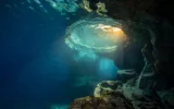 Mediterranean monk seal bubble cave discovery at Formicula islet in Greece.