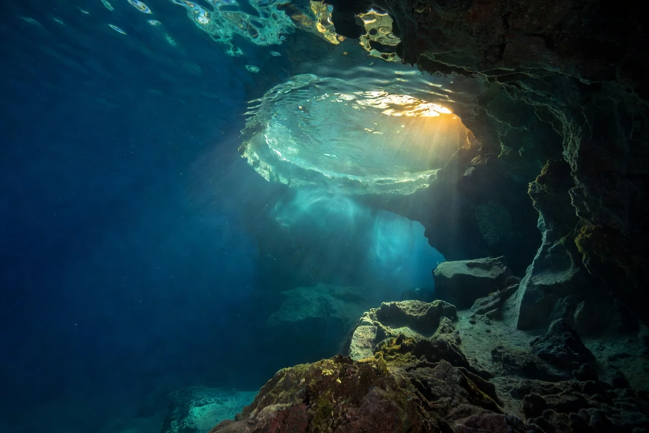 Mediterranean monk seal bubble cave discovery at Formicula islet in Greece.