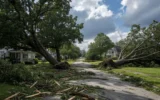 Chickamauga Georgia severe storm toppled oldest trees