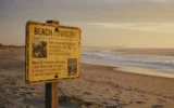 Georgia beaches added to impaired waters list