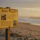 Three Georgia Beaches Flagged for High Fecal Bacteria