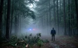 Georgia wedding helicopter crash site in foggy Dawson County woods near Dawsonville at dawn.