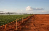 Early County Georgia data center ordinance vote water noise rules