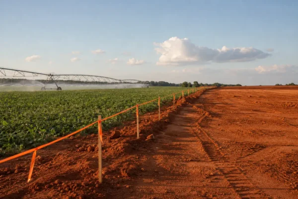 Early County Georgia data center ordinance vote water noise rules