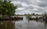 Georgia Superfund Research Center studies Glynn County flood contamination risk