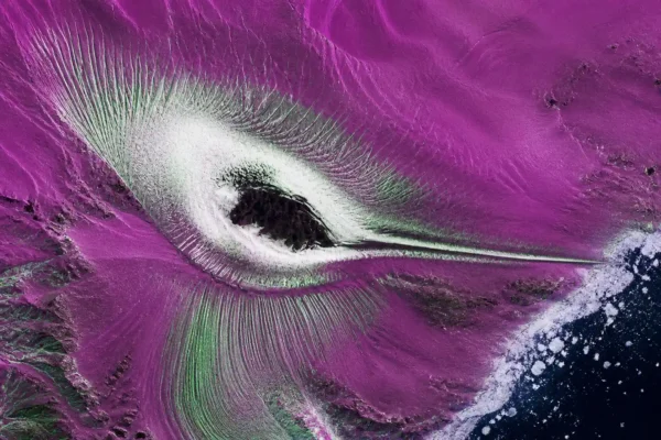 NISAR radar hummingbird image Nunatak Zaterjavshijsja Antarctica crevasses