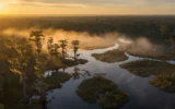 Okefenokee Alachua Trail Wildlife Management Area approval in Georgia