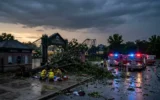 Six Flags Over Georgia storm topples tree near entrance