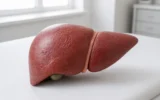 untreated chronic hepatitis B C long-term liver risks 2024