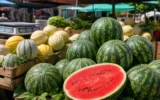 Georgia National Food Agency watermelon melon nitrate clearance samples