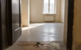 Givi Tsuleiskiri Sphero Holding fraud sentence Georgia victims homeless