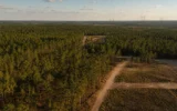 OpenAI Project Camellia Effingham County data center pine tract