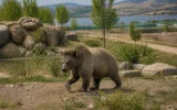 Tbilisi Zoo Caucasus exhibition brown bear enclosure test opening