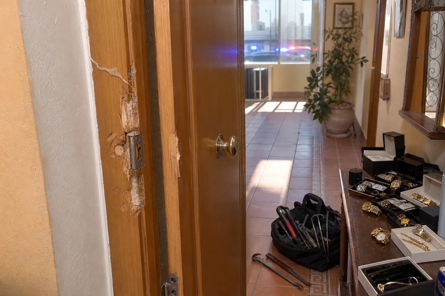 Valencia Georgian organized crime burglary arrests Spain 2026