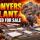 BioLab Conyers plant listed for sale after fire