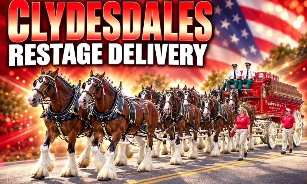 Budweiser Clydesdales Smyrna All-Star Week parade