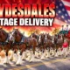 Budweiser Clydesdales Smyrna All-Star Week parade