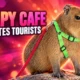 Capyfriends Cafe Helen Georgia capybara session prices