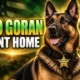 Clayton County K-9 Goran retirement gift to handler