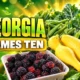 Georgia Meet Me at the Market spotlight farmers markets