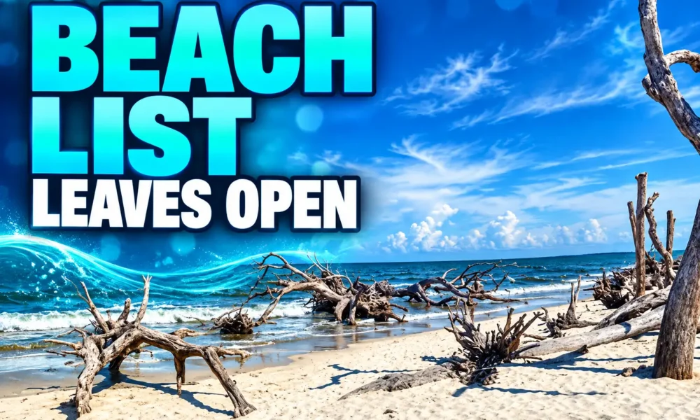 Georgia beaches impaired enterococci list Tybee Jekyll