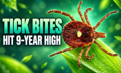 Georgia tick bite ER visits nine-year high