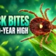 Georgia tick bite ER visits nine-year high